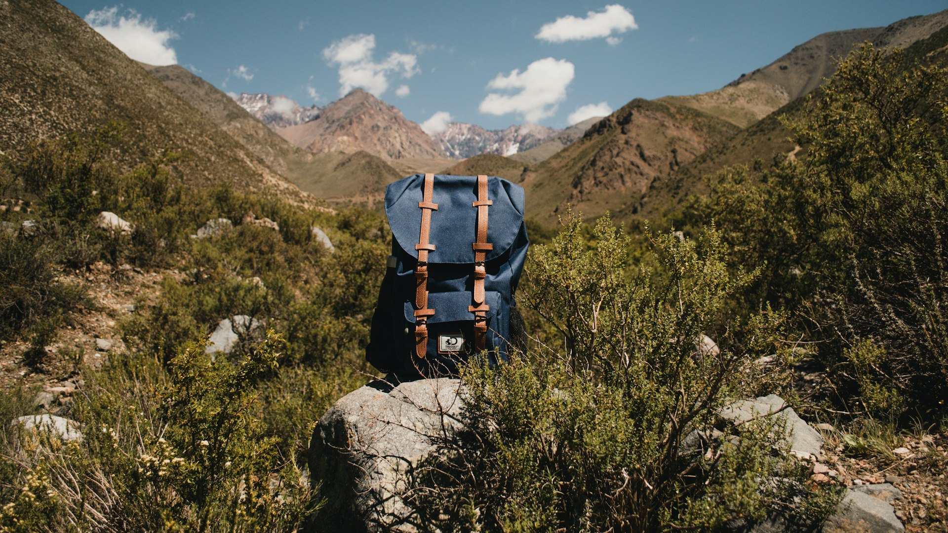 Paisaje de montaña en Mendoza