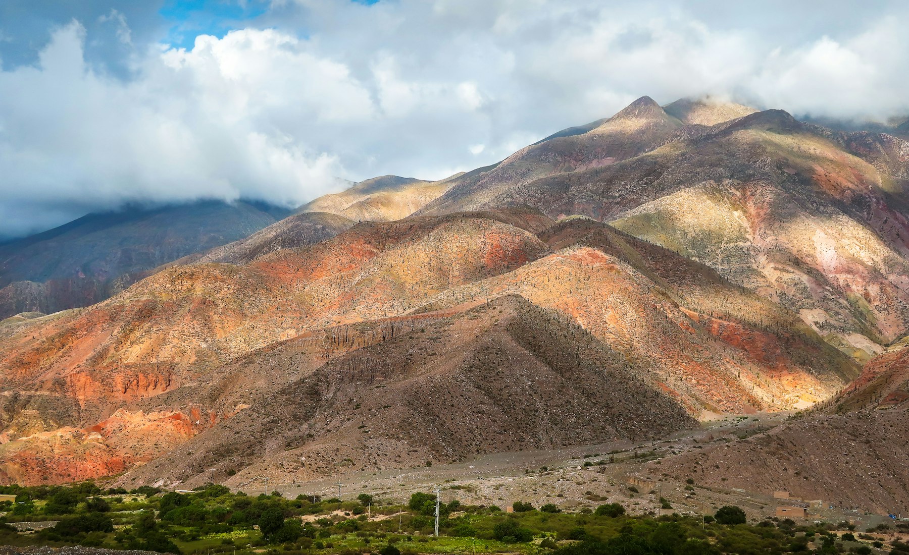Viñedos al atardecer con los Andes de fondo