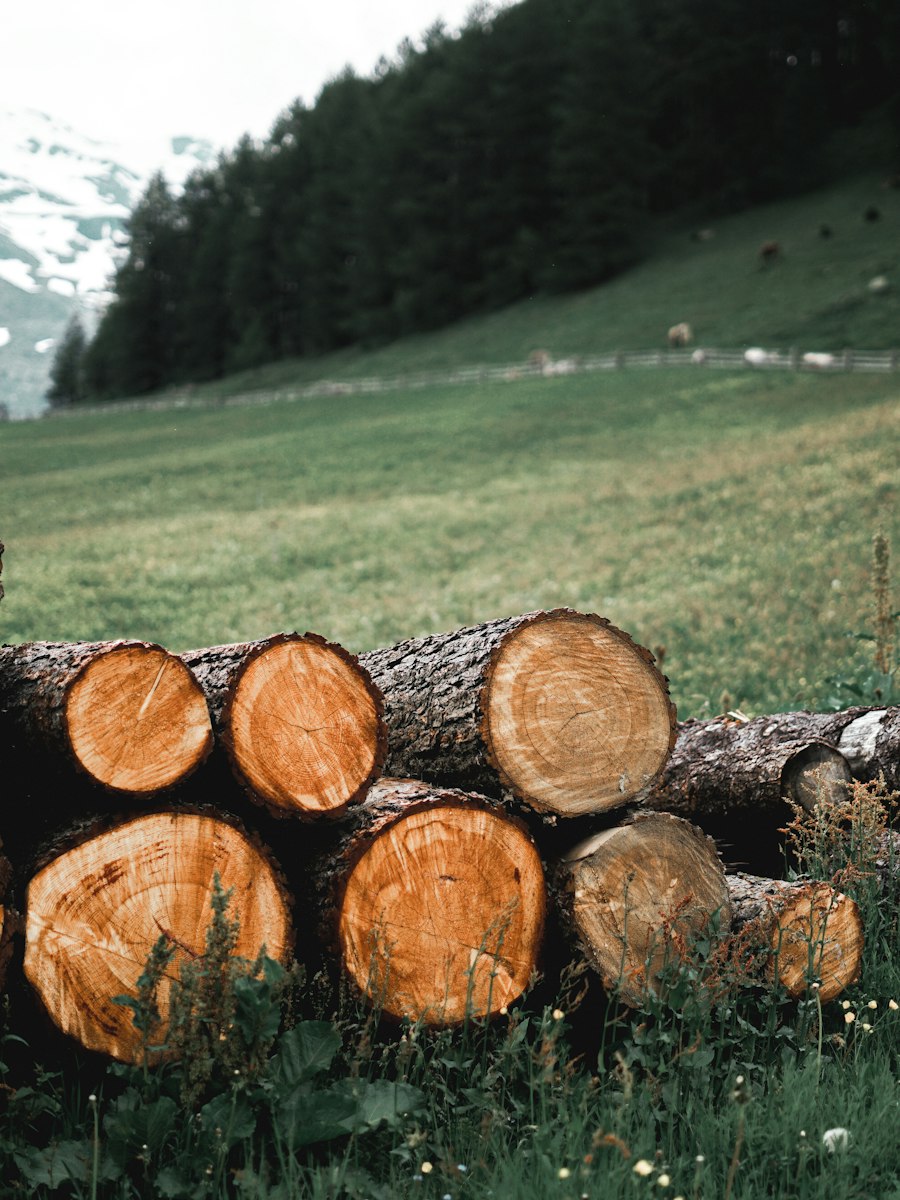 Kleiderstange mit drei gleichen Damen-Winterreithosen in drei Farben und einem eigenen Modell neben einer Skizze – KI-generierte Illustration