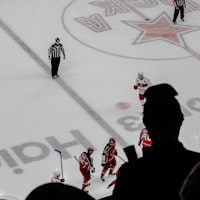 Tournament team icon
