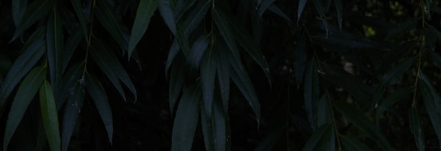 Portrait of Drilling Supervisor