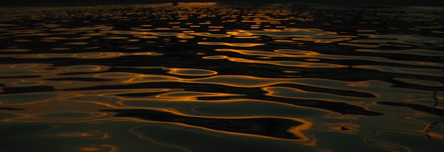 Portrait of Operations Director