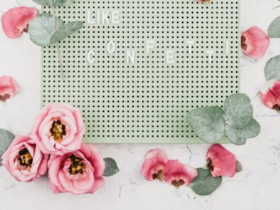 Seasonal New Product Development