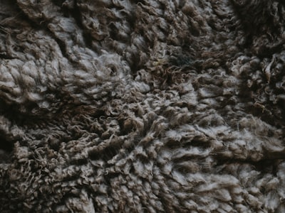 Fleece fabric