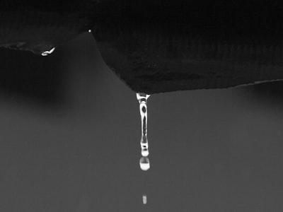 Moisture-Wicking System