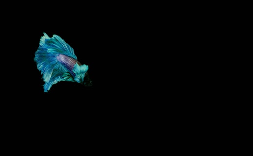 Treasure chest underwater