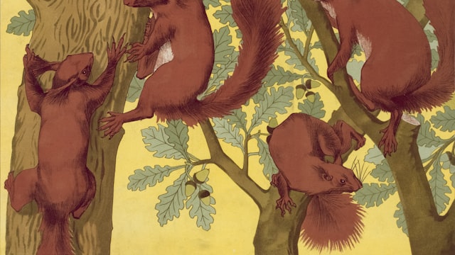 Forest Friends Picnic thumbnail