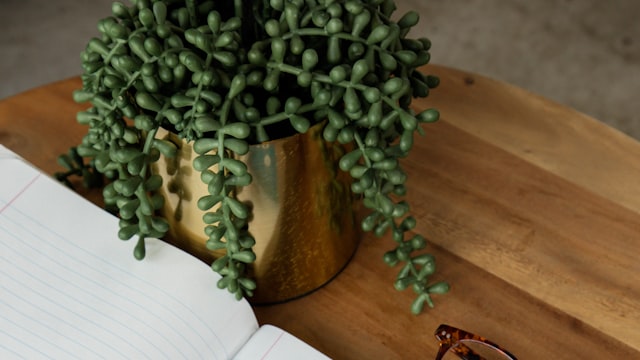 Marketing campaign visuals