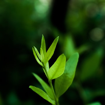 Alex Carter profile portrait