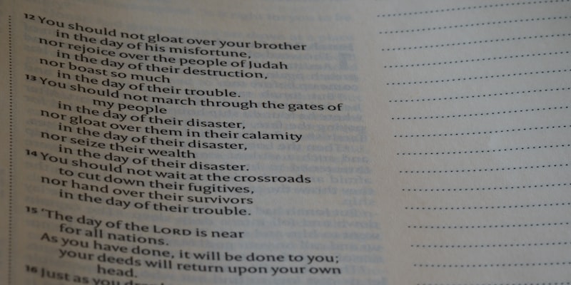 Study guide assortment