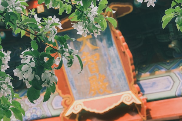 Hochzeitsgäste posieren in der Fotobox