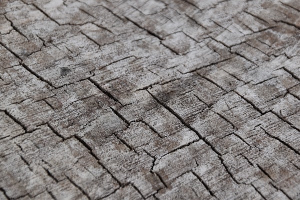 Slate tile texture