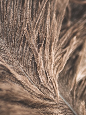 Straight human hair wig texture close-up