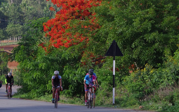 Pro team race kit custom jersey