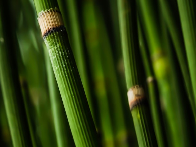 Close-up of OEKO-TEX certified bamboo fiber inner lining showing soft, natural texture
