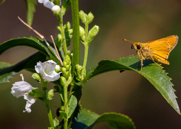 Illustration of compliance and certification