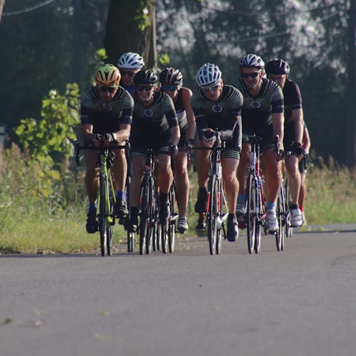 Black Pro Thermal Bib Tights