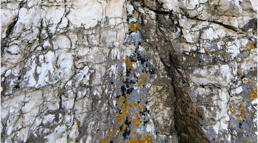 ارزیابی منابع و مغزه‌گیری