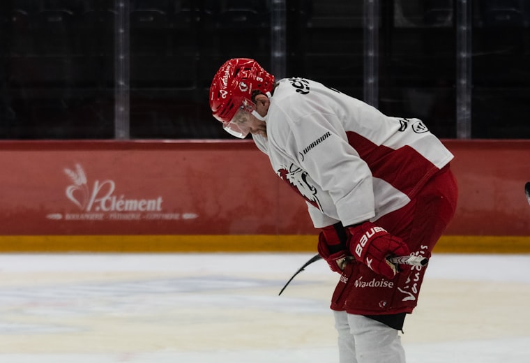 True North team collaborating