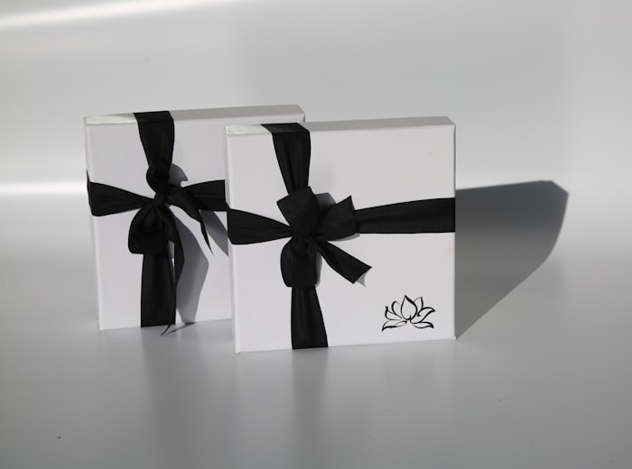 Packaging plegable porta fotos para 100 fotos