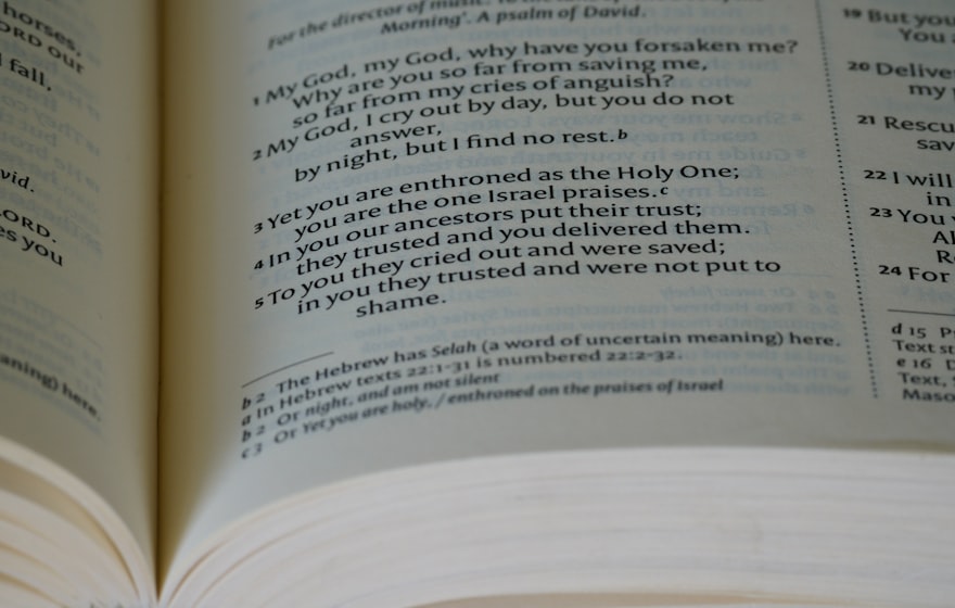 Confianza y profesionalismo