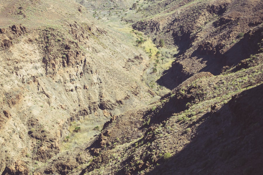 Palmares Valley, Mendoza