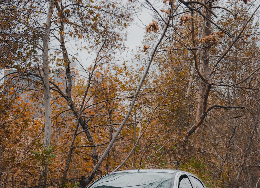 Vehículos Peugeot