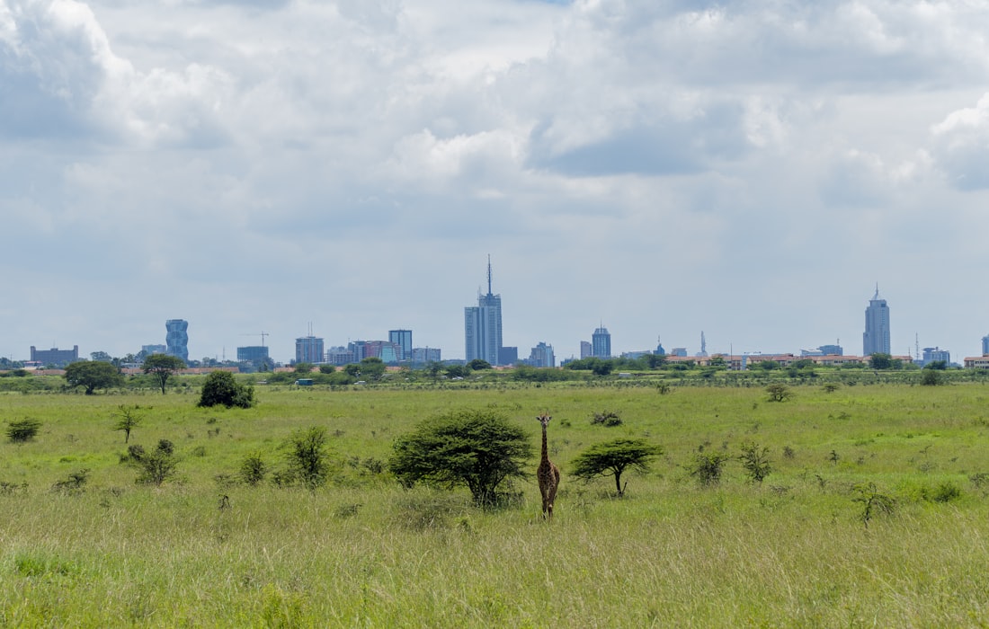 Hands-on practice in an offline studio