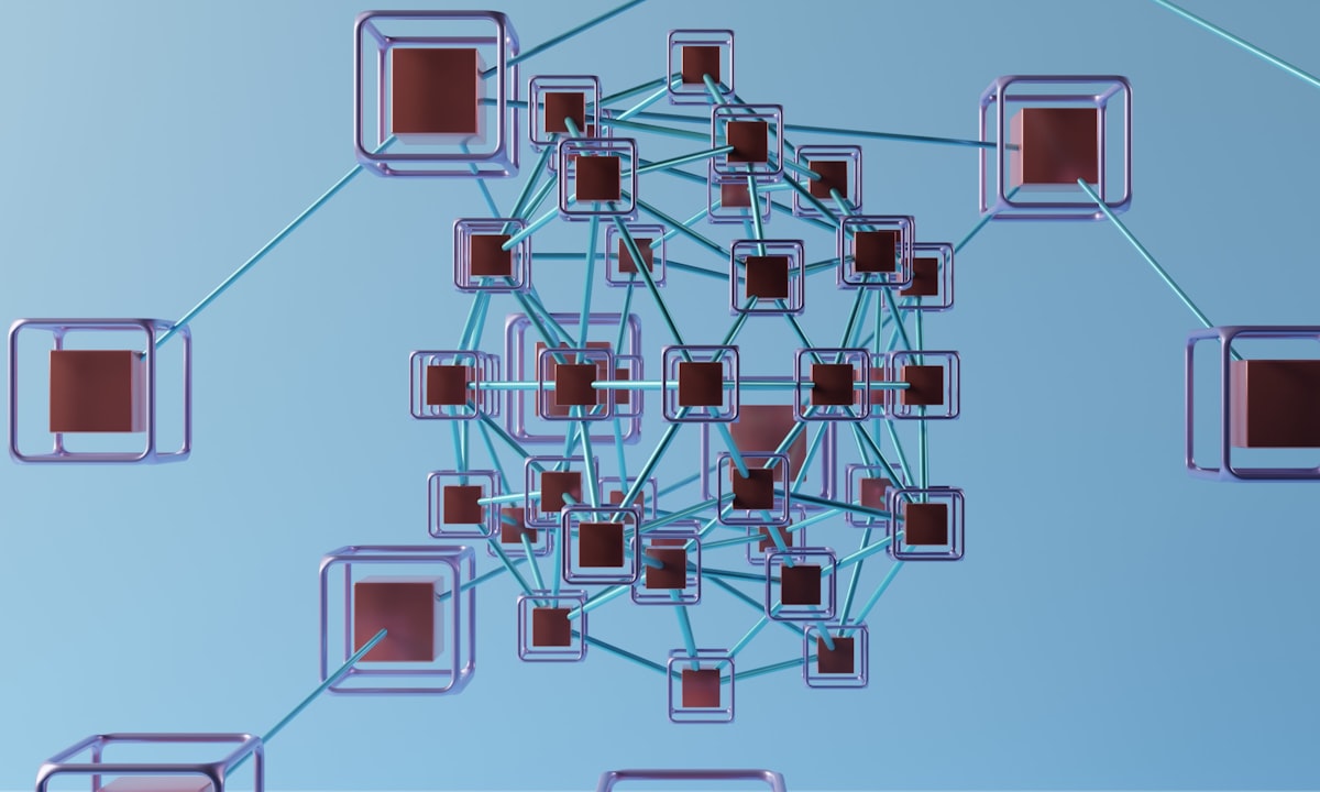 Visual representando domínio e rede