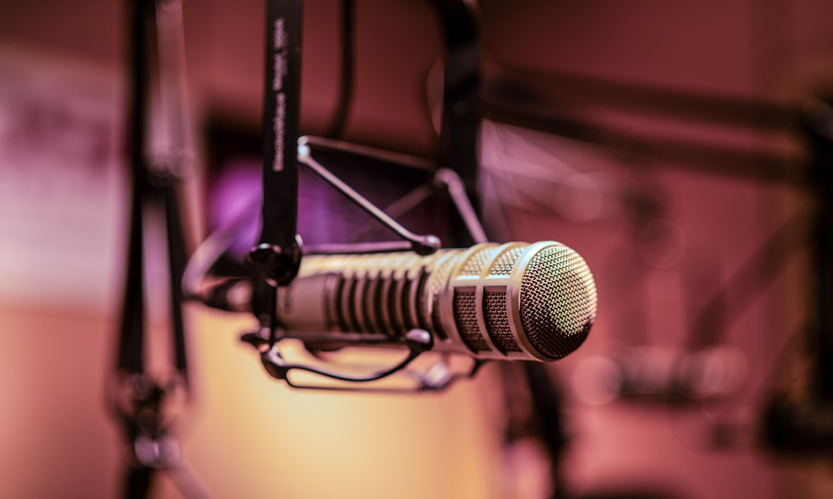 Voice control visual