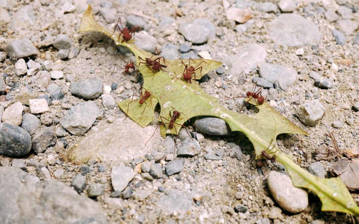 People collaborating around a desk
