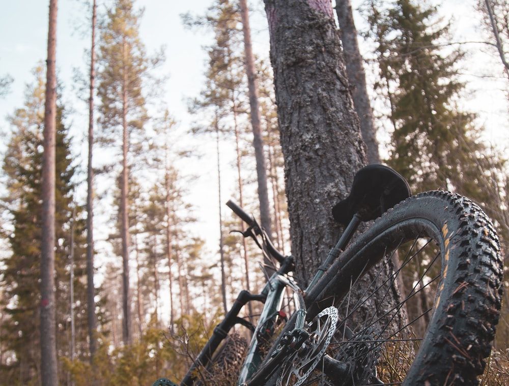 Mountain biker on an off-road trail in aggressive riding posture