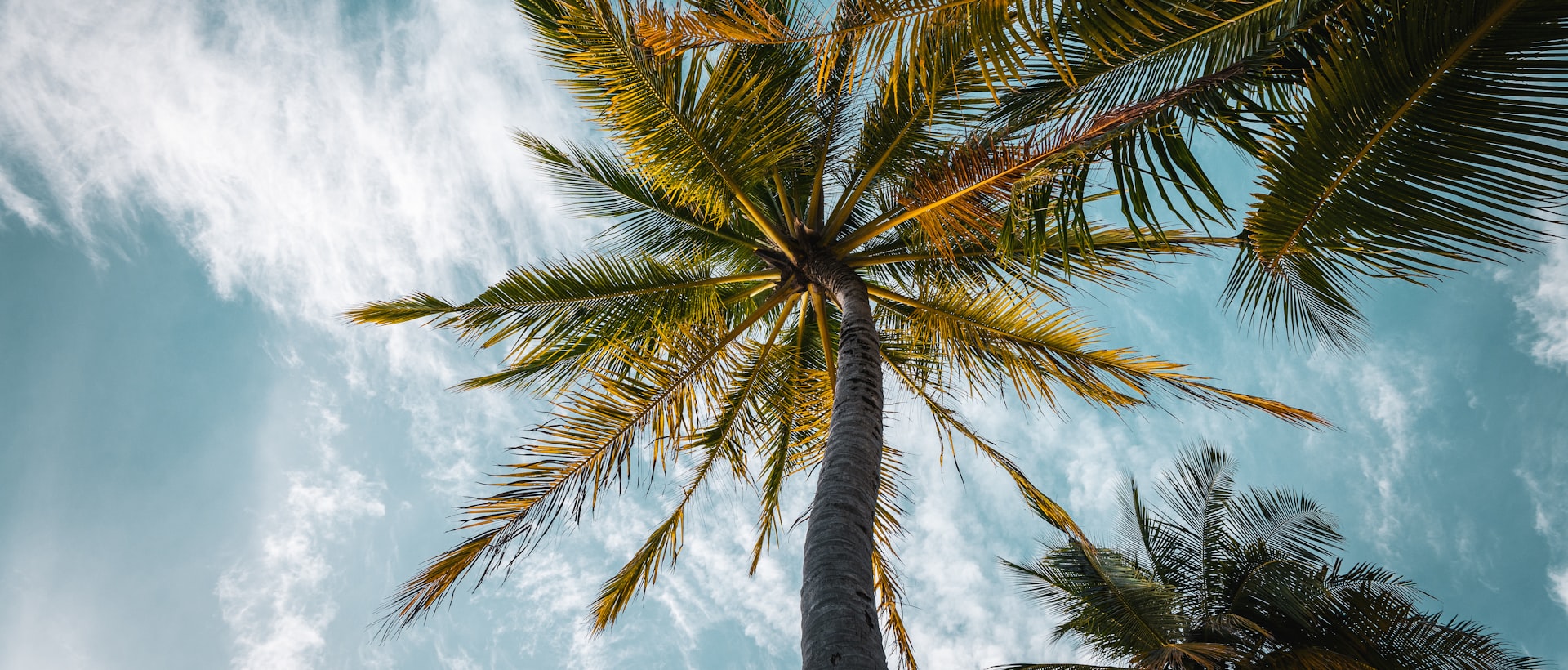 Destino paradisíaco - Turismo El Reloj