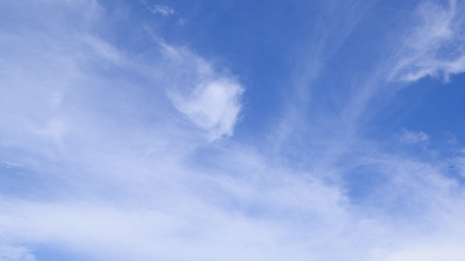Playa paradisíaca con agua turquesa