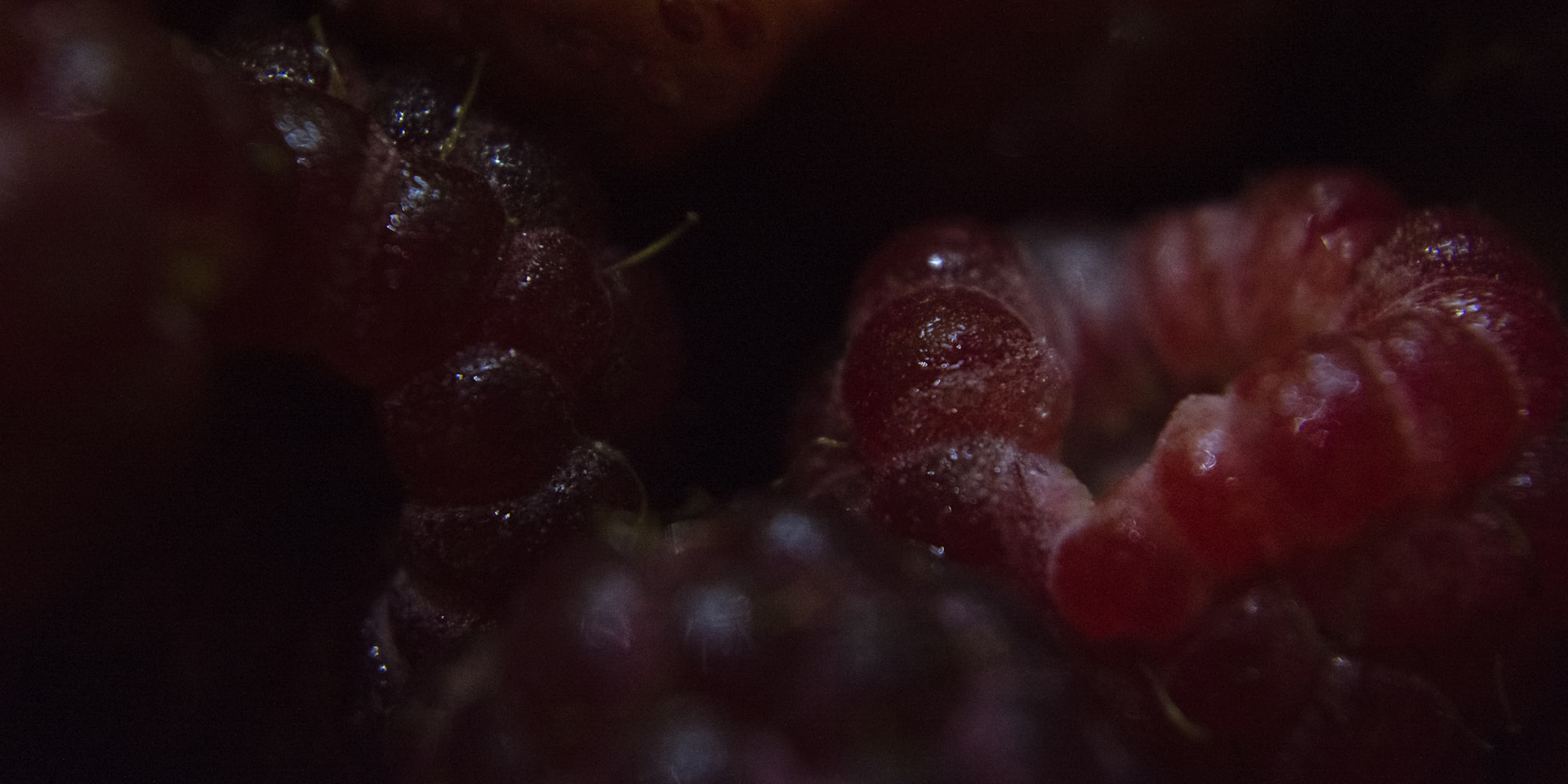 Raspberry Pi hardware dark scene
